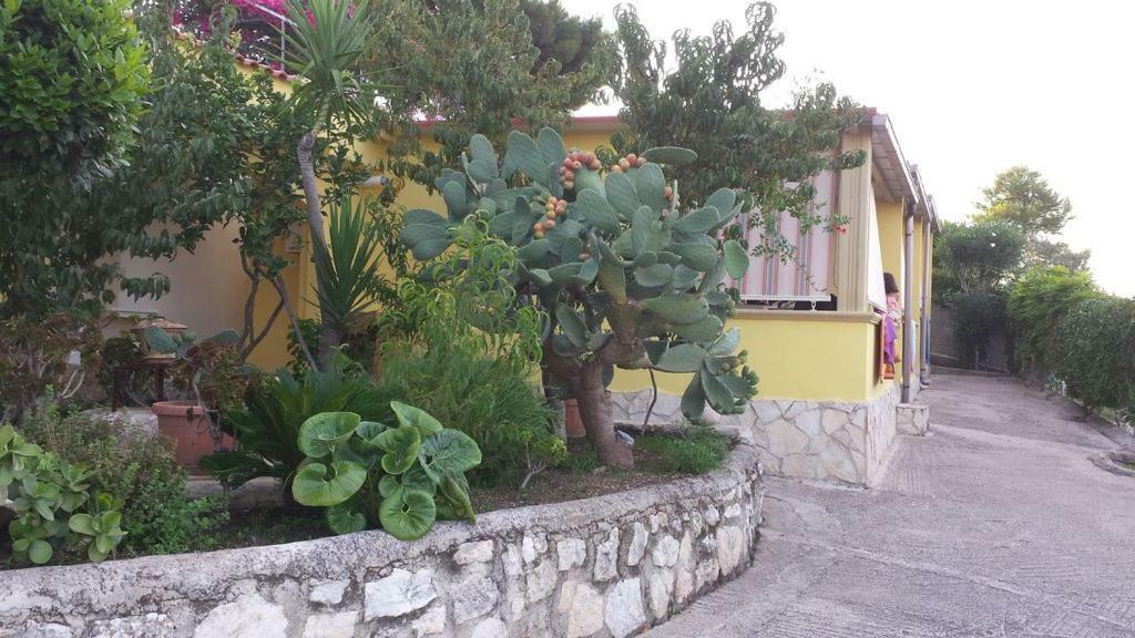Villa Natura Sea View Vieste Eksteriør bilde